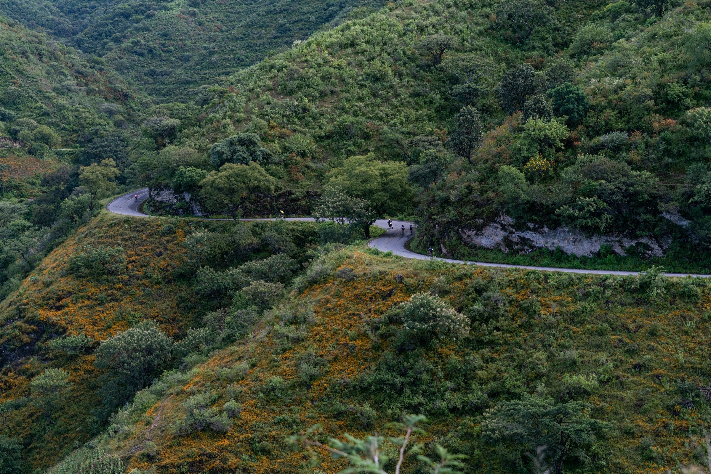 Ciclistas de ruta en competencia en las montañas, Carrera Haute Route México con Altius Events. 