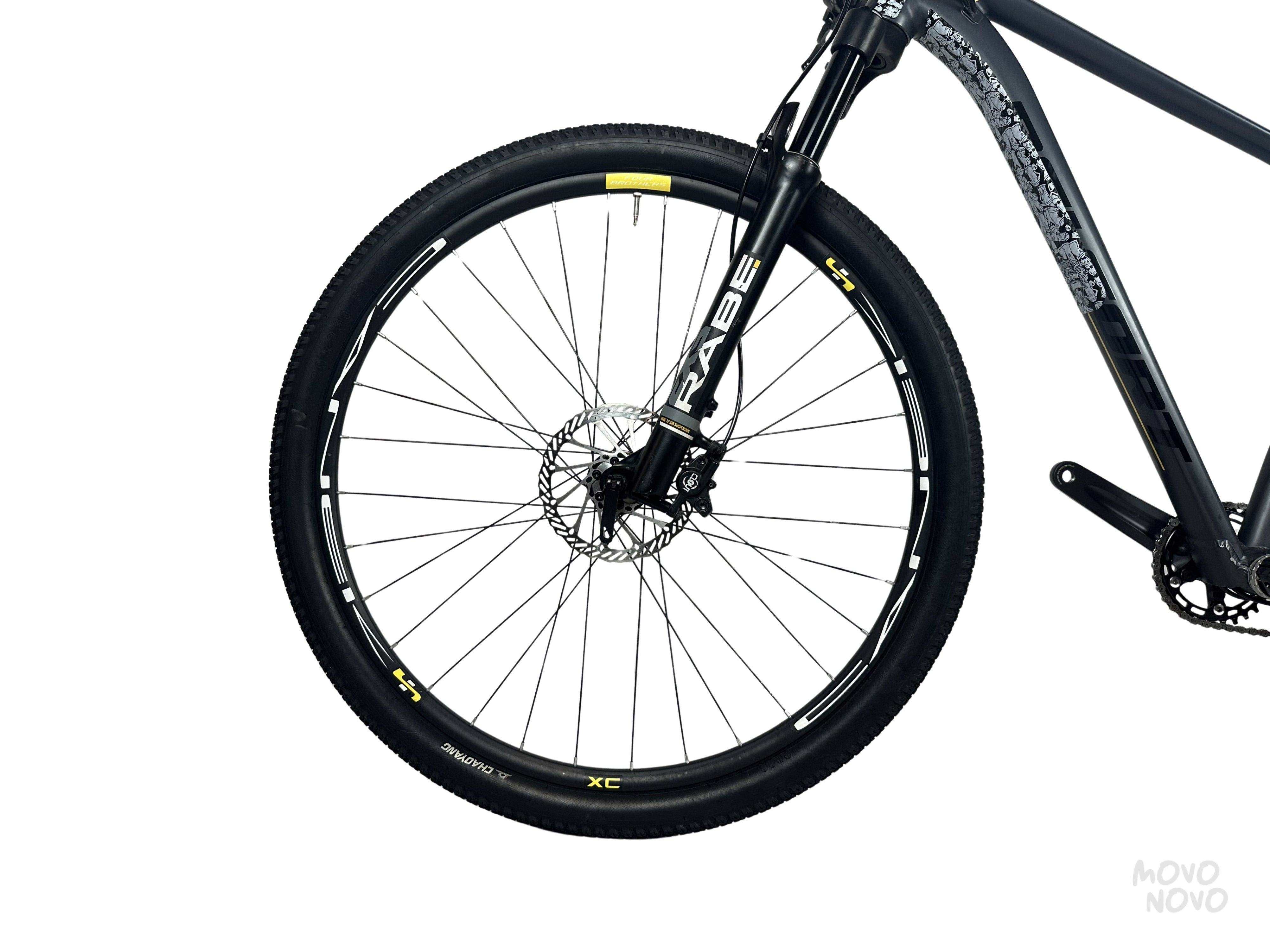 Belfort coalt 2022 - M
