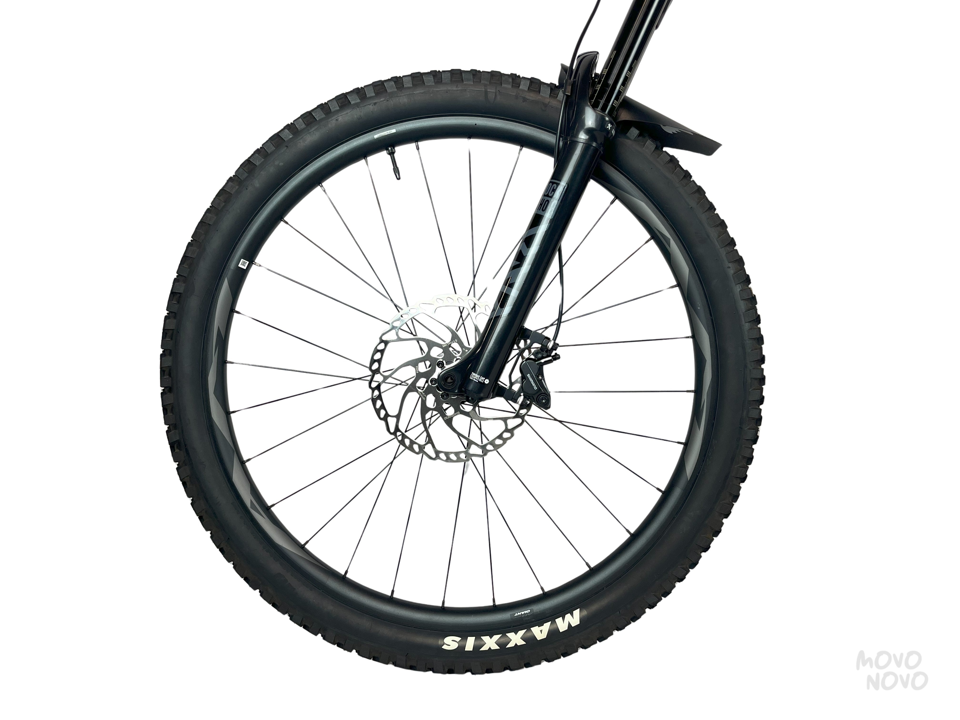 Giant Reign 29 2023 - M